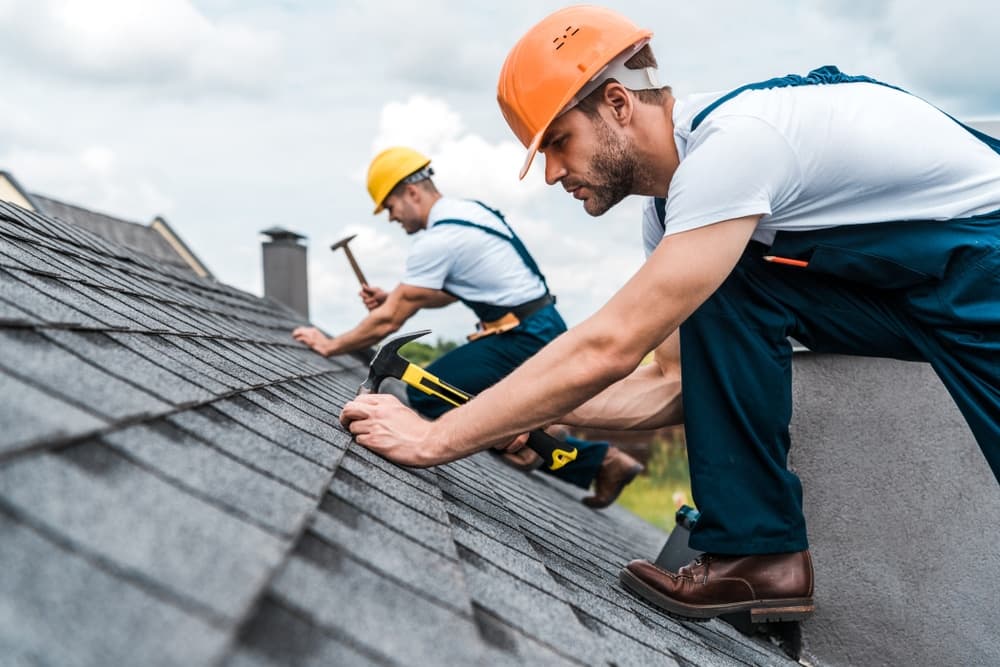 Property Maintenance Service 