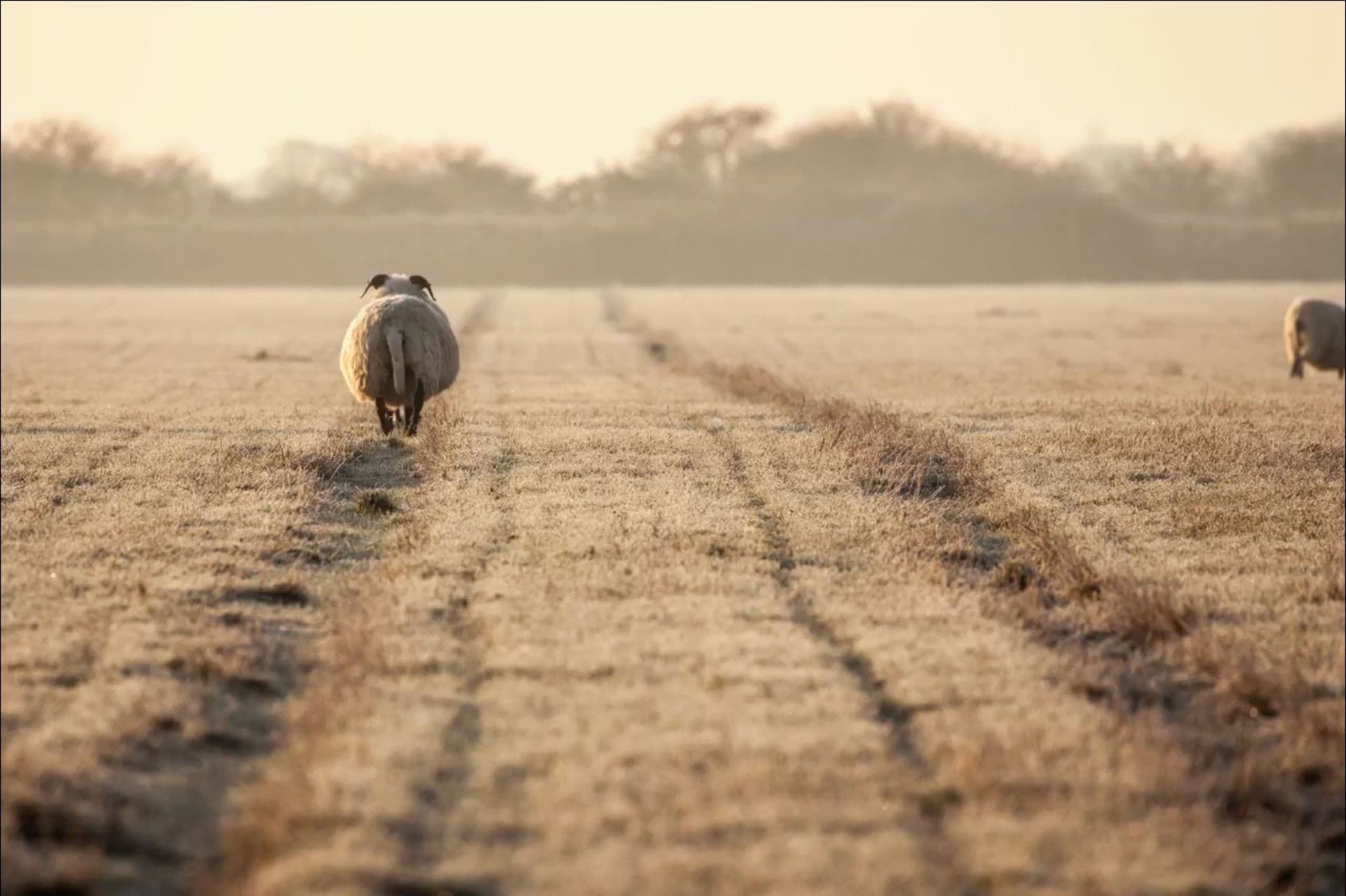 Welcome to websters.